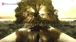 i am grateful - gift of life
