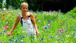 What is the Suppers Programs?
