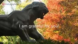 I Am Grateful for - Autumn!