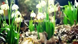 I am grateful - for spring