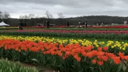 Spring Blooms Farm Tour #kellylehman @cranbury