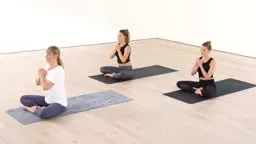 22 Minute Calming Vinyasa Yoga Class @LulemonPrinceton