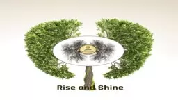 Planet Apothecary. Rise and Shine...