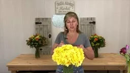 How To Maximize Your Daffodil Vase Life! | Cranbury Fields Flower Farm