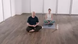 ROOT - Life Time Yoga Classes On Demand