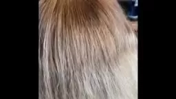 A Transformation - Self Care & Beautiful Platinum Balayage