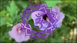 Third Eye 'Ajna' Chakra Guided Meditation