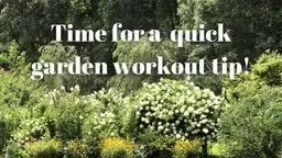 Outdoor Workout for Arms