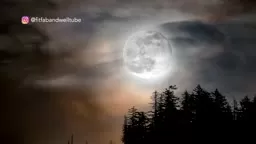 Finding your grit - Guided Meditation - Moon Healing Energy