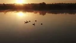 Guided Meditation To Be As You Are