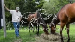 EMPOWERING LEADERS! 'In the Company of Horses'.