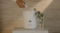 Experience Wellness With All Your Senses | Alo Essential Oils