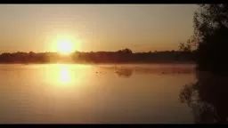 Mindfulness Meditation with Gabi Johnson - Breath New Life