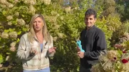 Fall Garden Tips