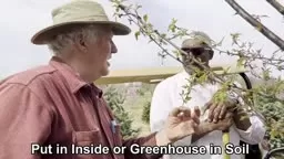 The Gab Show Gardening Tips from Fernbrook Farms