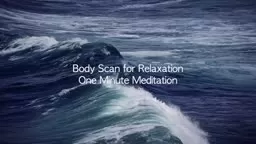1-Minute Body Scan Meditation | Relax & Refresh