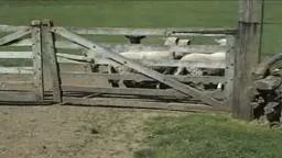 Howell Living History Farm, by HVCH Television Production 1,