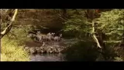 Never Give Up: Inspirational Video