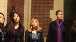 PrincetonWildcatsDreams Princeton University Nj