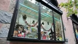 Jazams Toys Store Of The Month Princeton Nj