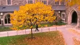 ExperiencePrinceton Princeton University NJ The video of the Princeton Experience
