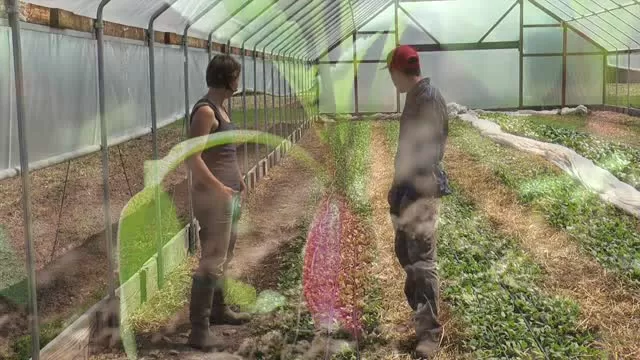 More Garden State On Your Plate Radishes
