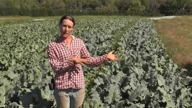 Put More Garden State on Your Plate - Broccoli! PSGCOOP