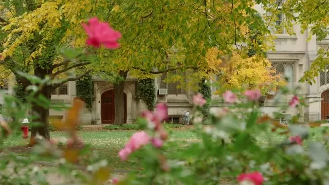 Beautiful Fall Color Transforms the Princeton Campus