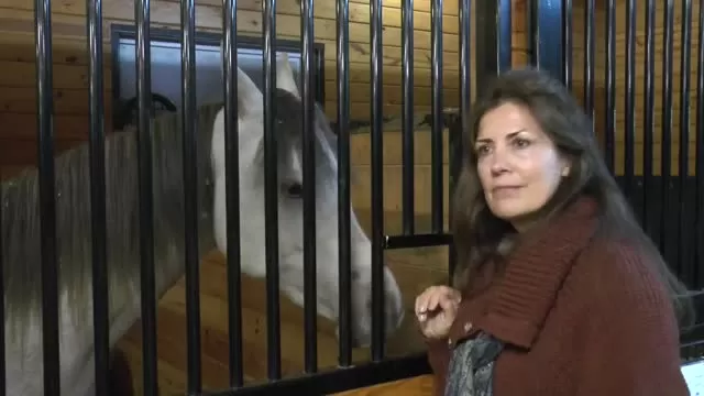 Thornewood Farm Egyptian Arabians: 'MaryAnne & Jamila'