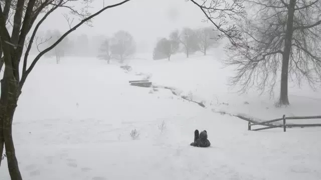 Princeton University in Snow of Jan. 23 2016