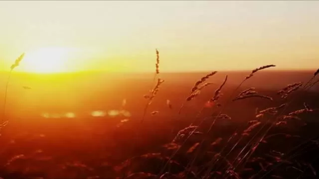 Heart Garden Meditation - from 'Healing Your Inner Child'