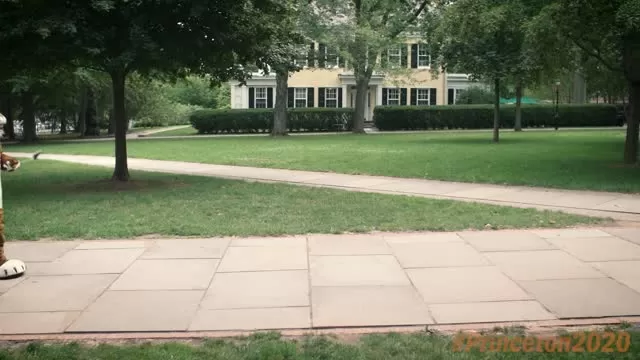 Welcome, Tigers: Your story starts here