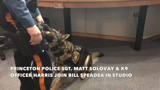 Princeton K9 Officer visits NJ 101.5