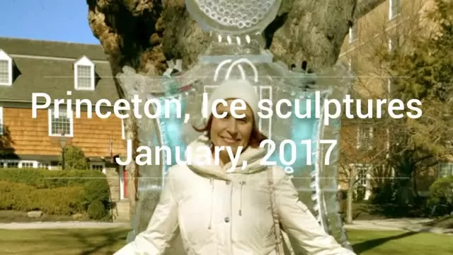 Princeton, Ice Sculptures, January 2017