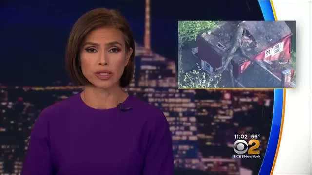 Tree Crashes Into Princeton Home Killing Dog Inside