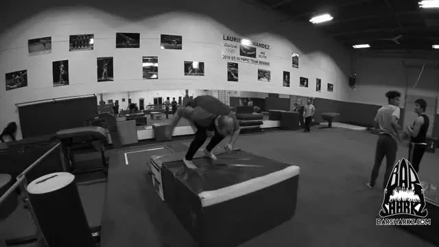 Bar Sharkz - We Love What We Do.