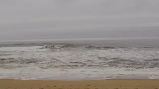 Princeton Day School 9th Grade Beach Cleanup 2017