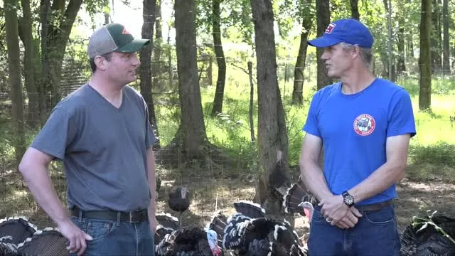 Area's Best Turkeys - Double Brook Farm Turkeys @ Brick Farm Market