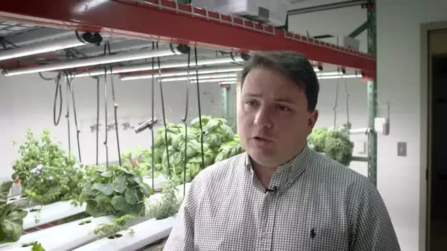 Room to grow: Princeton's Vertical Farming Project