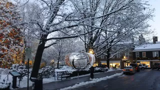 Princeton's Palmer Square Tree Lighting. It's Christmas in Princeton!