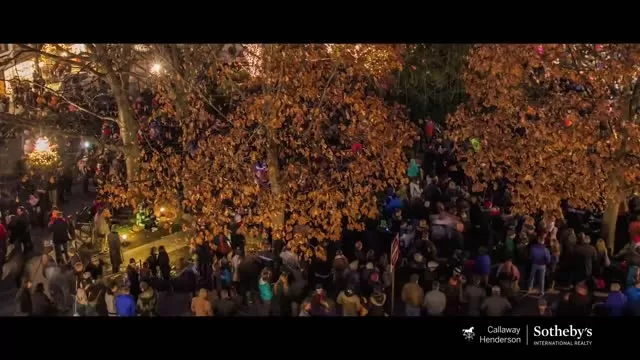 Love Where You Live - Princeton Palmer Square Tree lighting