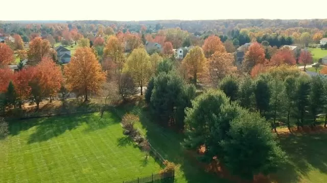 November 2017 - Princeton NJ Foliage