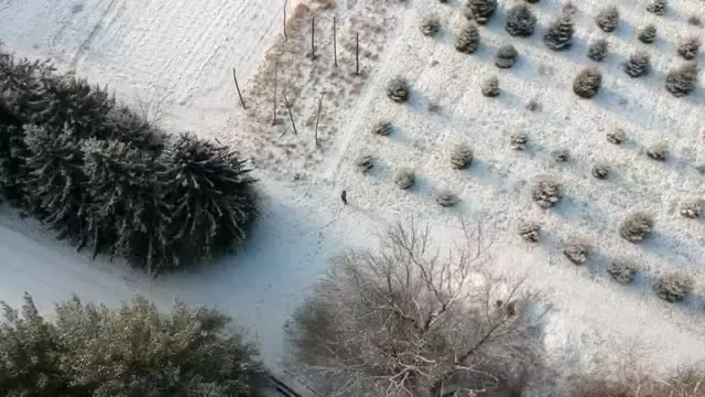 Princeton Battlefield by Drone December 14