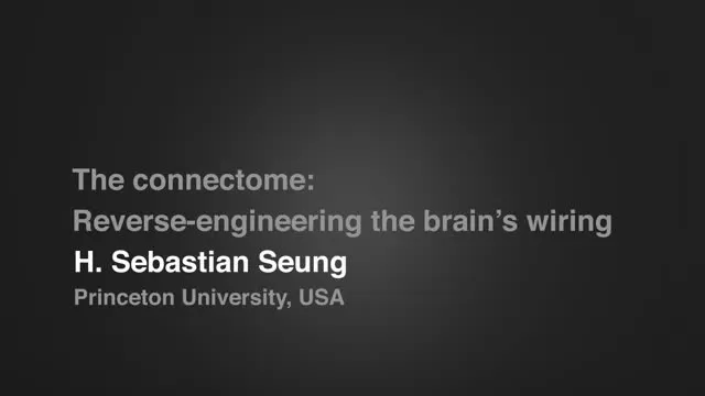 Artificial Intelligence: Reverse-engineering the brain’s wiring Princeton