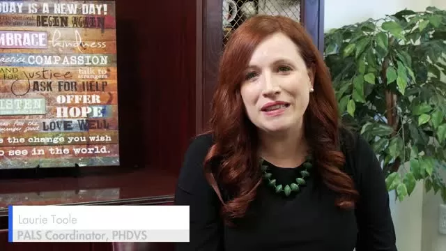 How to Help a Victim of Domestic Violence - Domestic Abuse Myths Dispelled