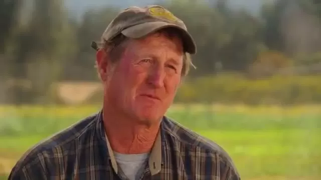 PEFF The Evolution of Organic