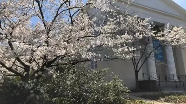 Princeton, NJ - Spring 2018 VIDEO (4k full)