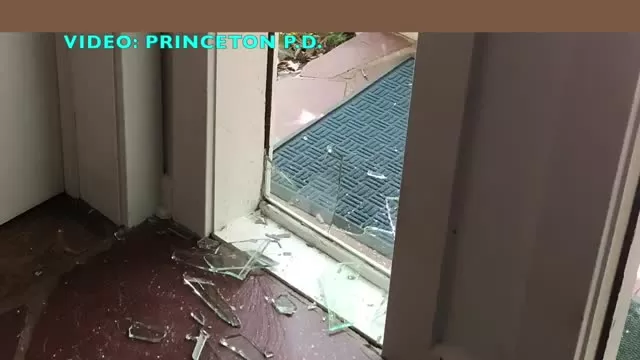 Deer breaks into home in Princeton