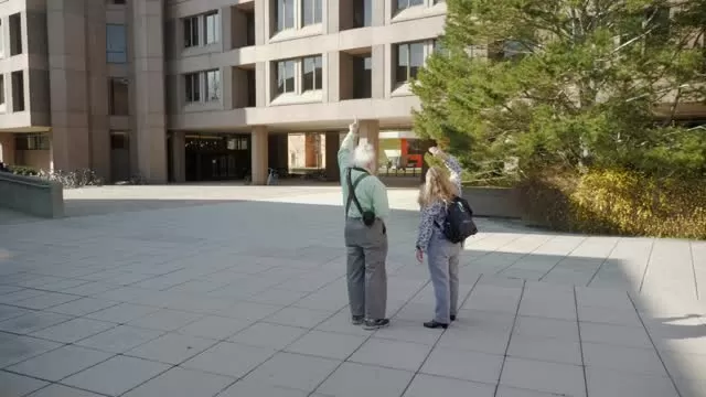 Nature Walks with Henry Horn: Peregrine Falcon