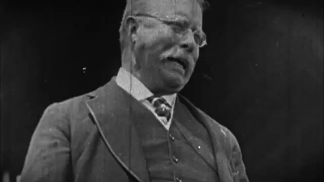Woodrow Wilson, 28th President of the United States (Princeton)